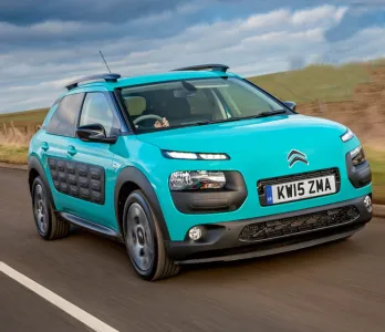 C4 Cactus